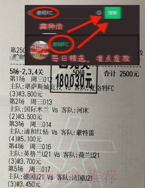 深入解析世界杯比赛走势的分析方法与技巧